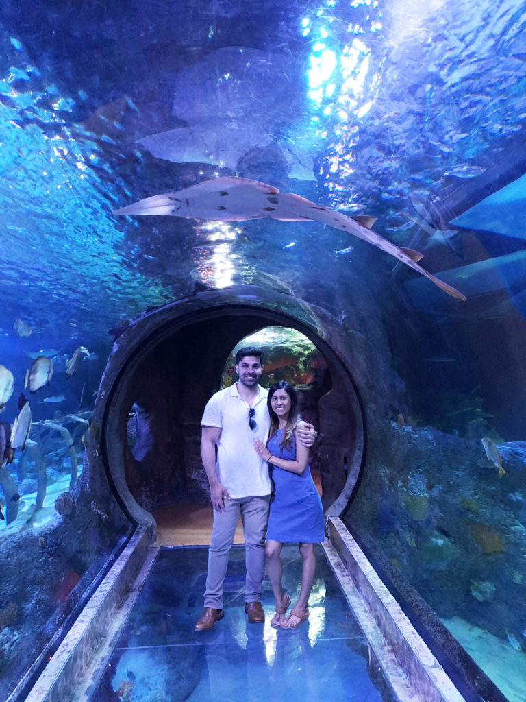 Dallas Visit – Aquarium Tour